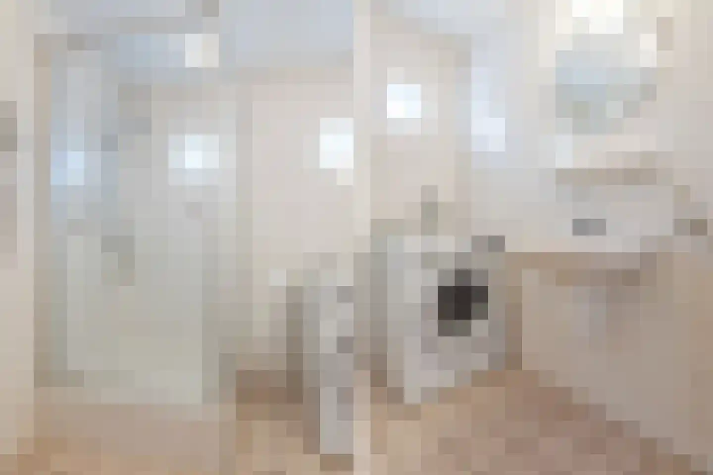 van Randwijkhof 1 Lichtenvoorde thumbnail 40