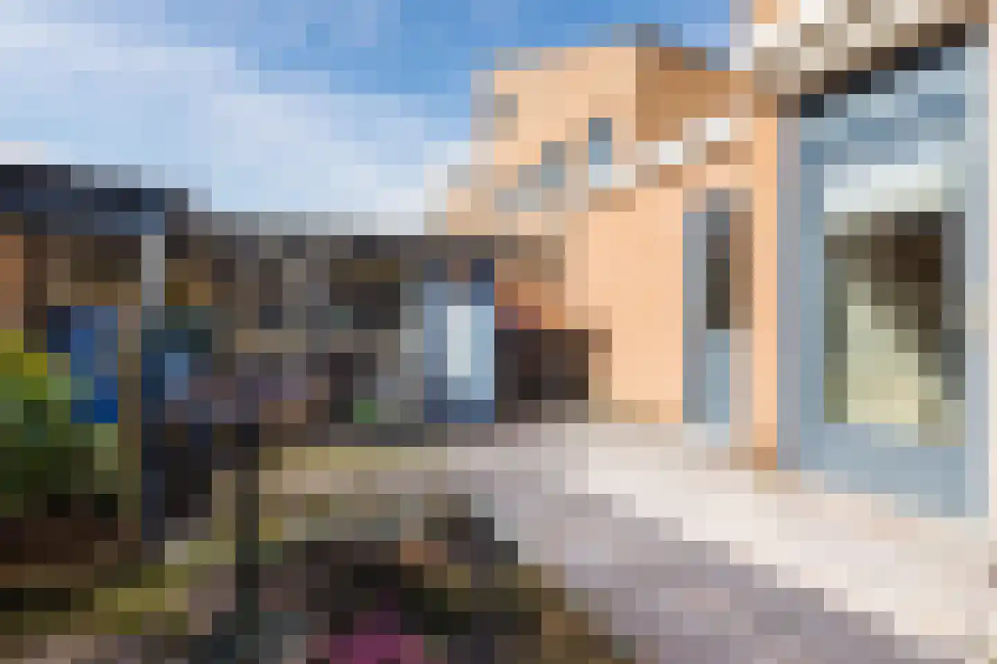 van Randwijkhof 1 Lichtenvoorde thumbnail 49