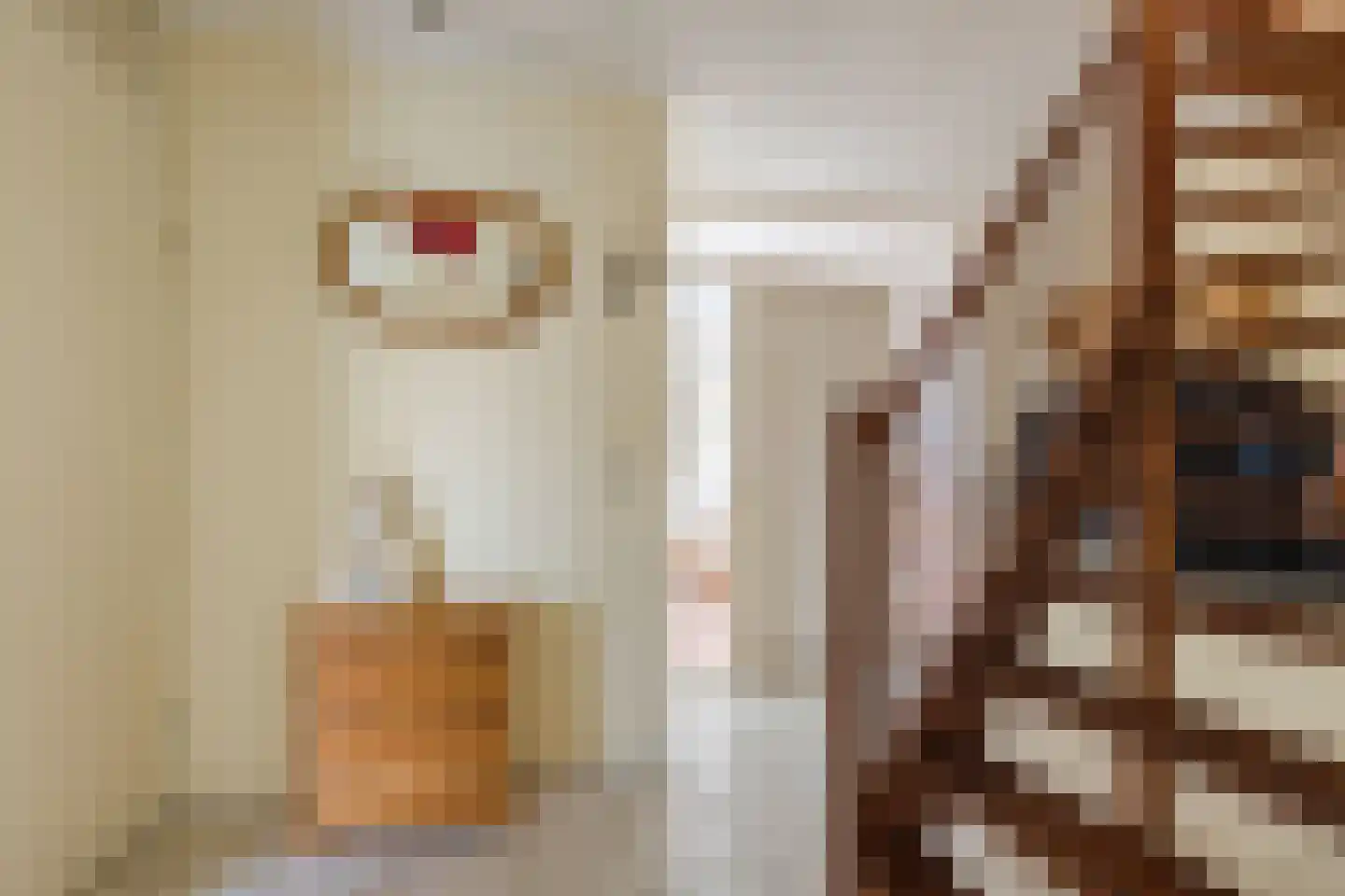 van Randwijkhof 1 Lichtenvoorde thumbnail 6