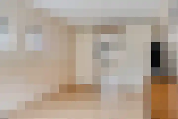 van Randwijkhof 3 Lichtenvoorde thumbnail 18