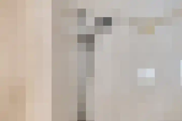 van Randwijkhof 3 Lichtenvoorde thumbnail 23