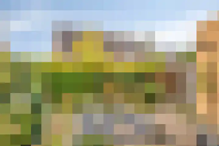 van Randwijkhof 3 Lichtenvoorde thumbnail 29