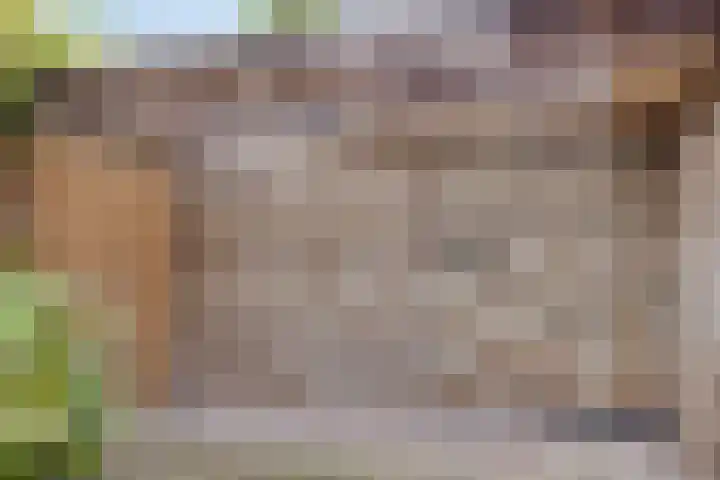 van Randwijkhof 3 Lichtenvoorde thumbnail 31