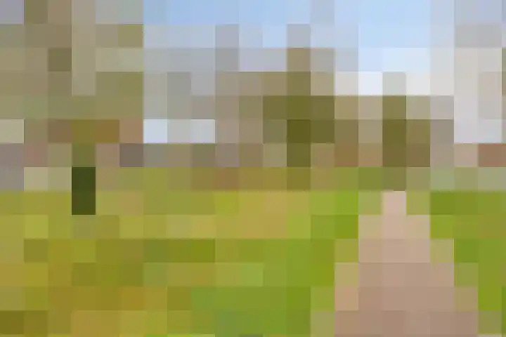 van Randwijkhof 3 Lichtenvoorde thumbnail 35