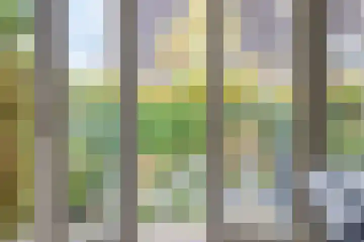 van Randwijkhof 3 Lichtenvoorde thumbnail 8