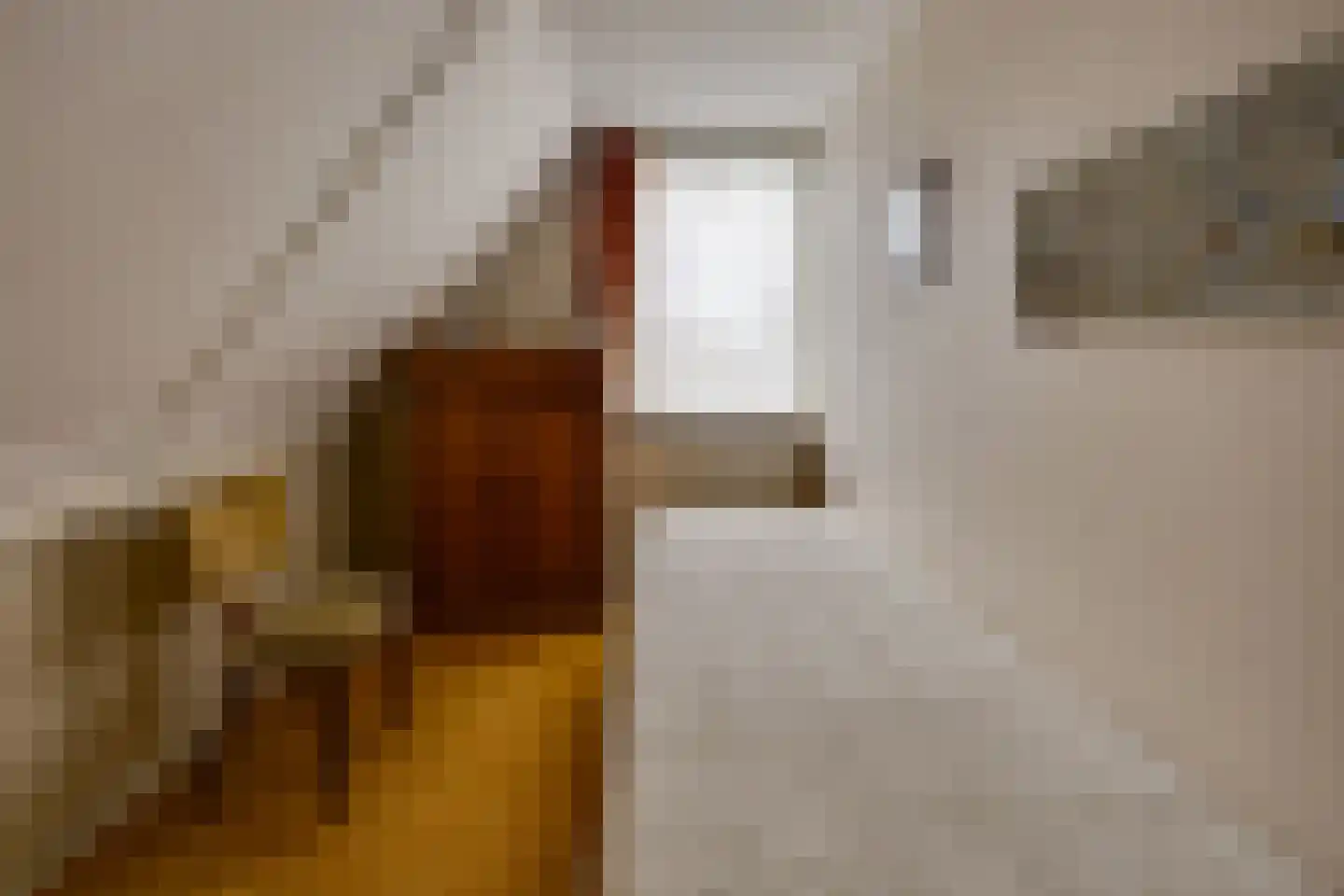 van Randwijklaan 55 Werkendam thumbnail 19