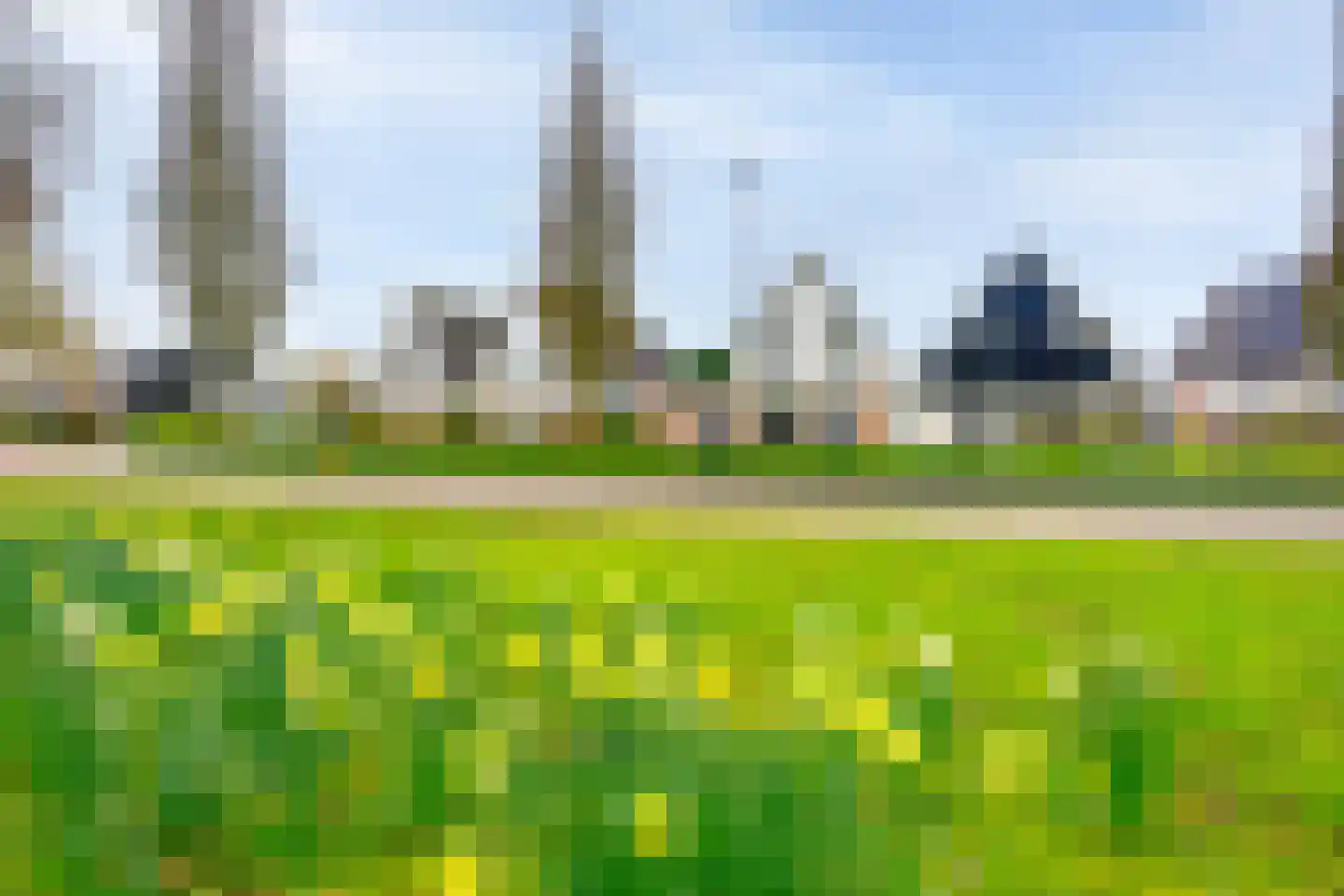 van Randwijklaan 55 Werkendam thumbnail 30