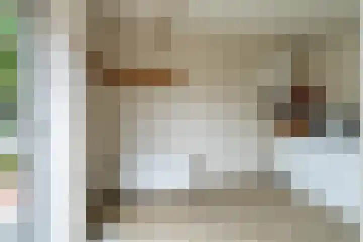 van Randwijklaan 71 Werkendam thumbnail 13