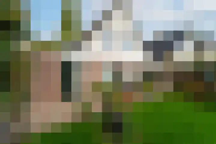 van Randwijklaan 71 Werkendam thumbnail 27