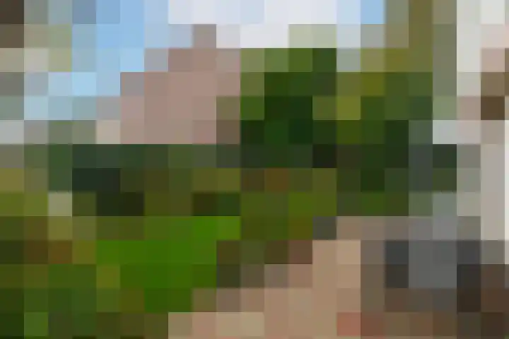 van Randwijklaan 71 Werkendam thumbnail 29