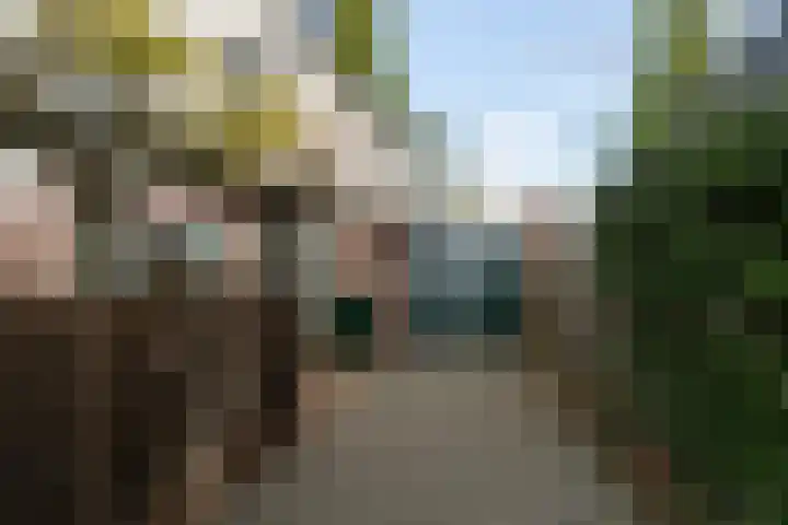van Randwijklaan 71 Werkendam thumbnail 31