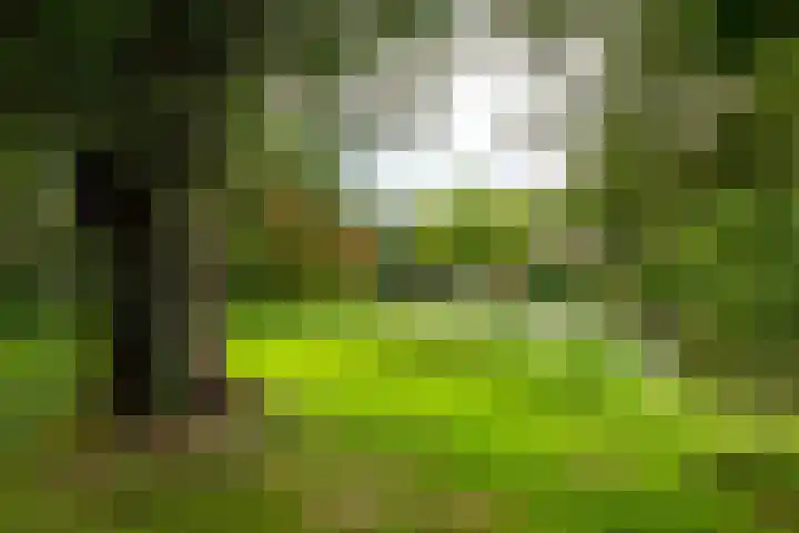 van Randwijklaan 71 Werkendam thumbnail 4