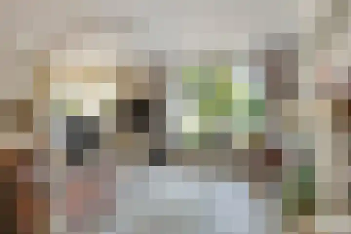 van Randwijklaan 81 Werkendam thumbnail 12