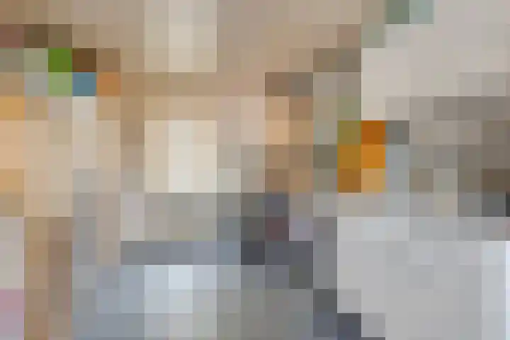 van Randwijklaan 81 Werkendam thumbnail 20