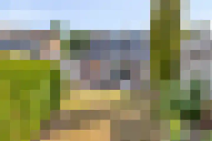 van Randwijklaan 81 Werkendam thumbnail 33