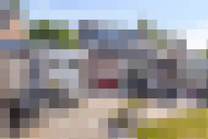 van Randwijklaan 81 Werkendam thumbnail 34