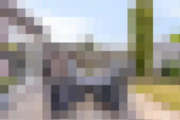 van Randwijklaan 81 Werkendam thumbnail 37