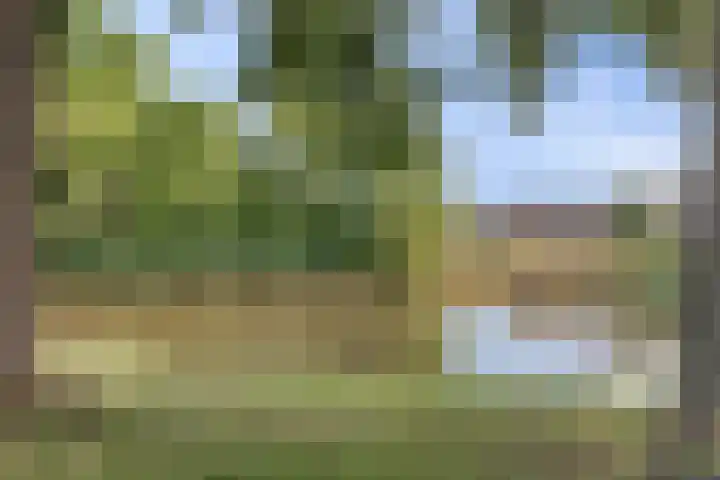 van Randwijklaan 81 Werkendam thumbnail 39