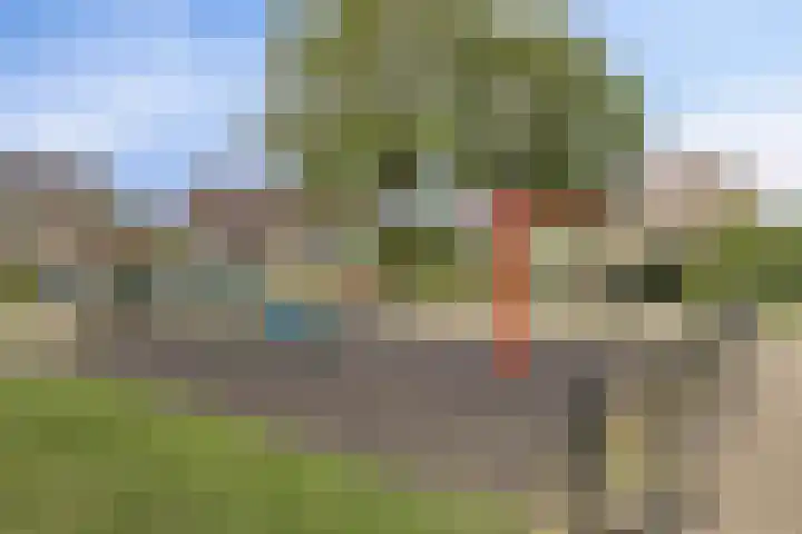 van Randwijklaan 81 Werkendam thumbnail 40