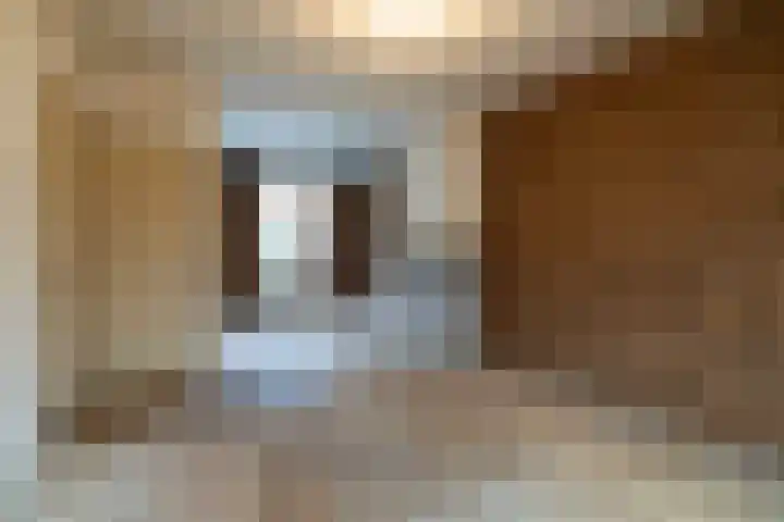 van Ranststraat 16 Boxtel thumbnail 5