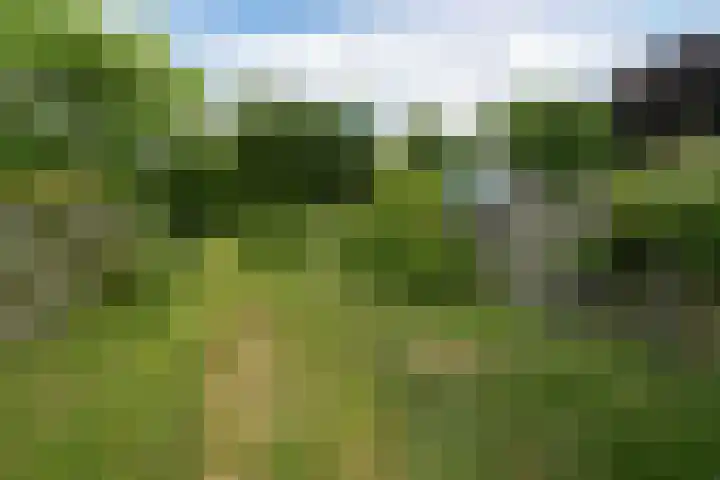 van Ranststraat 20 Boxtel thumbnail 10
