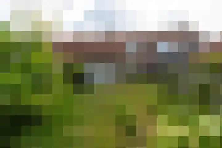 van Ranststraat 20 Boxtel thumbnail 11