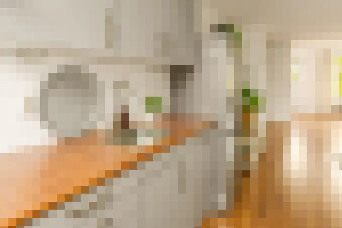 Van Rappardstraat 11 3 Amsterdam thumbnail 11
