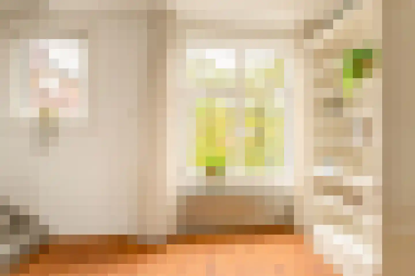 Van Rappardstraat 11 3 Amsterdam thumbnail 14