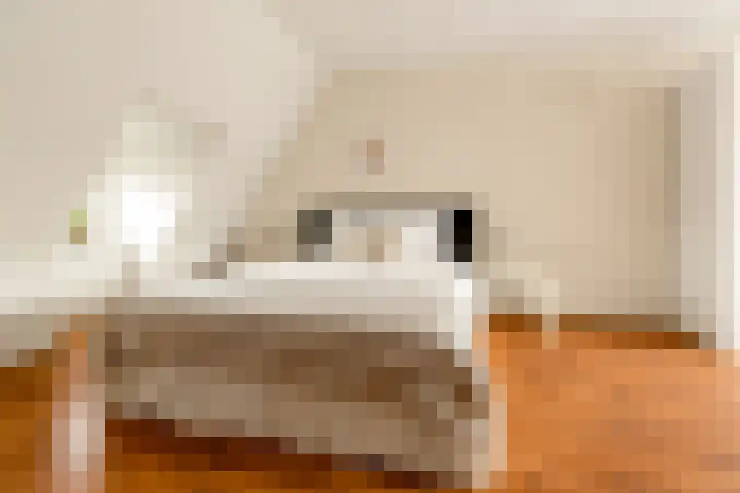 Van Rappardstraat 11 3 Amsterdam thumbnail 15