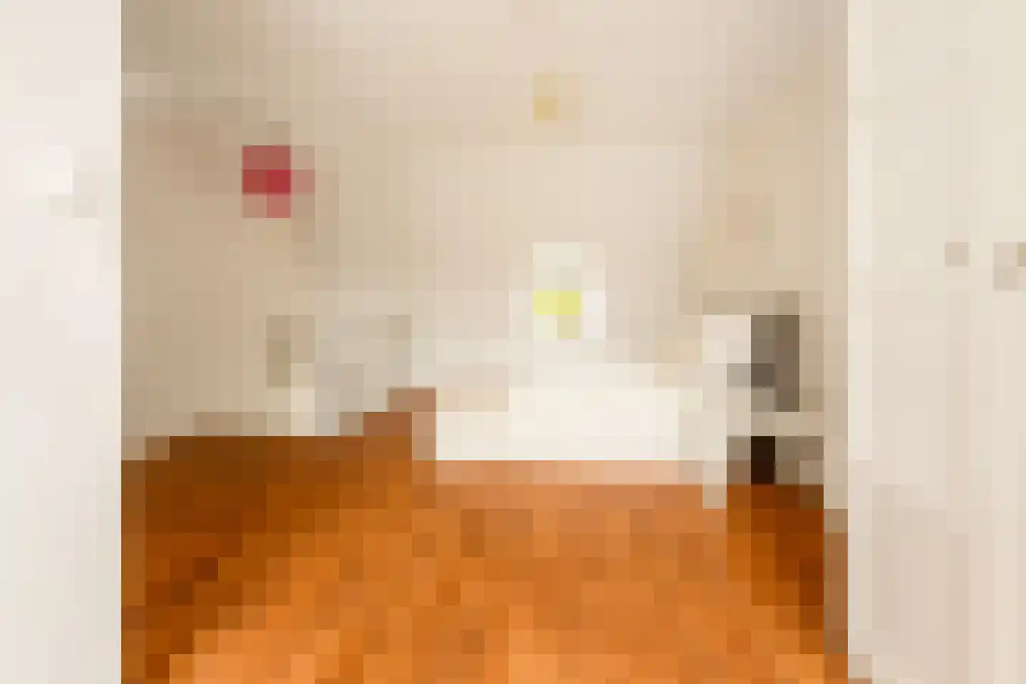 Van Rappardstraat 11 3 Amsterdam thumbnail 18