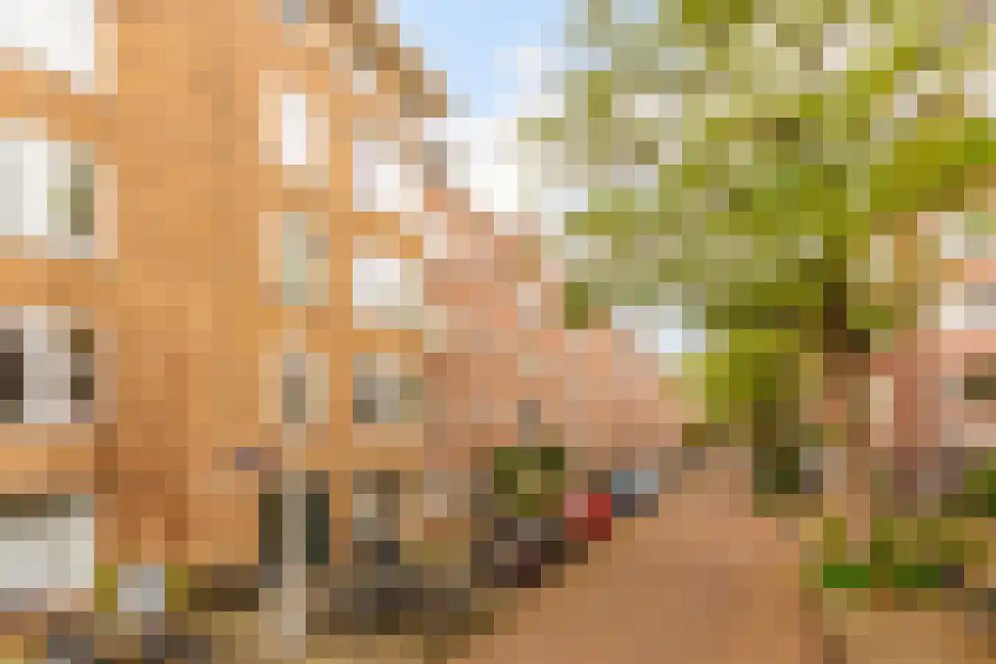 Van Rappardstraat 11 3 Amsterdam thumbnail 26