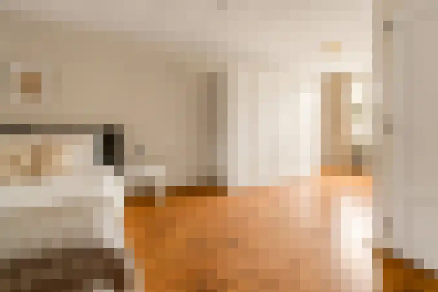 Van Rappardstraat 11 3 Amsterdam thumbnail 5