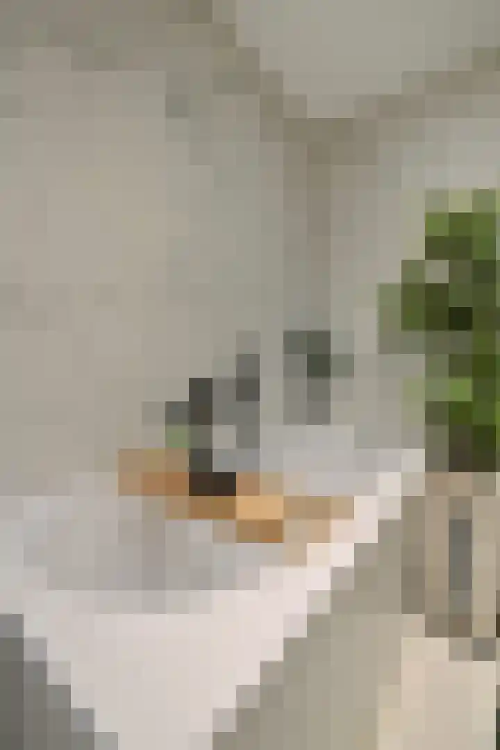 Van Rappardstraat 6 3 Amsterdam thumbnail 13