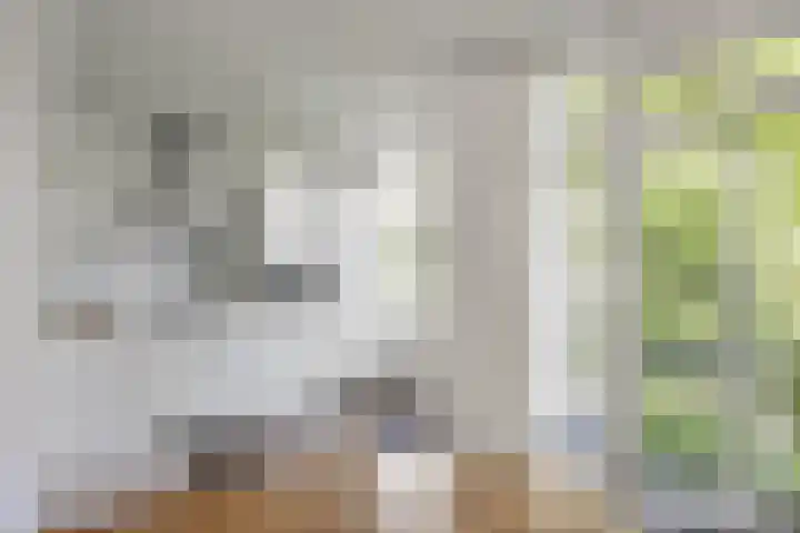 Van Rappardstraat 6 3 Amsterdam thumbnail 7