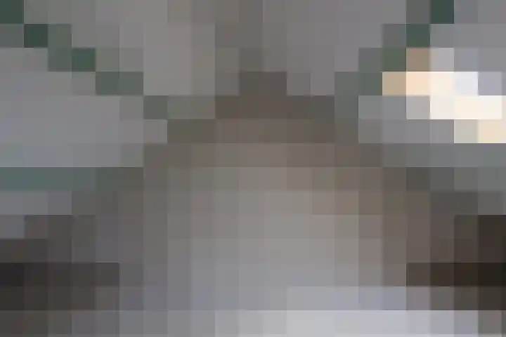 van Raveschotstraat 12 Sprang-Capelle thumbnail 14