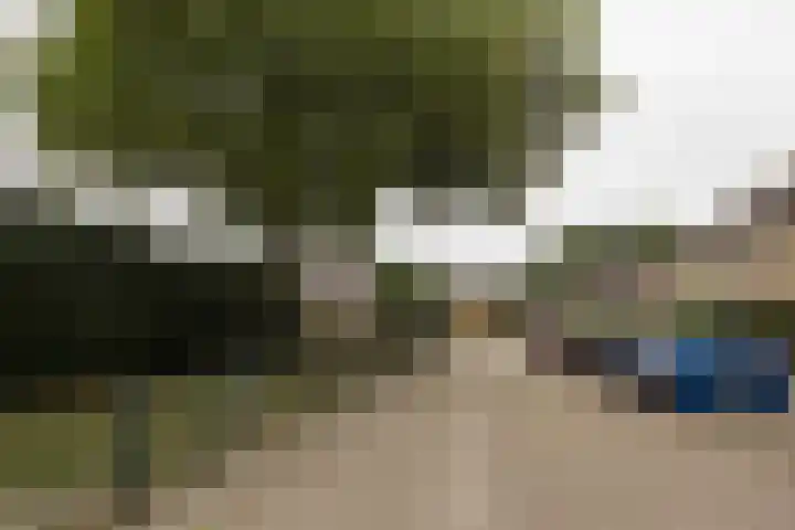 van Raveschotstraat 12 Sprang-Capelle thumbnail 4