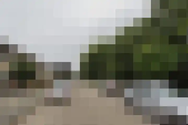 van Raveschotstraat 12 Sprang-Capelle thumbnail 5