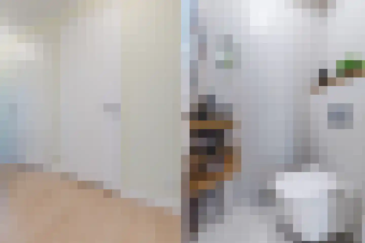 Van Ravesteijnkade 17 Leidschendam thumbnail 17