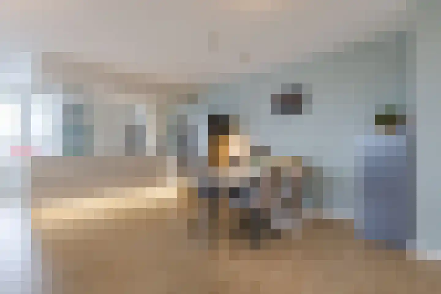 Van Ravesteijnkade 17 Leidschendam thumbnail 22