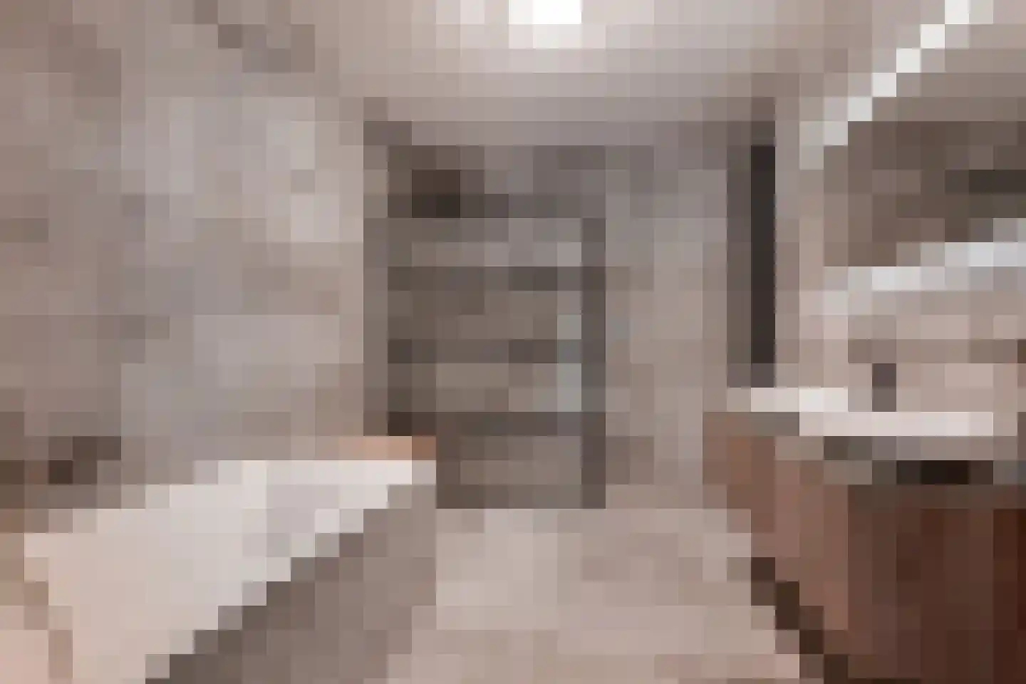 Van Ravesteijnkade 25 Leidschendam thumbnail 32
