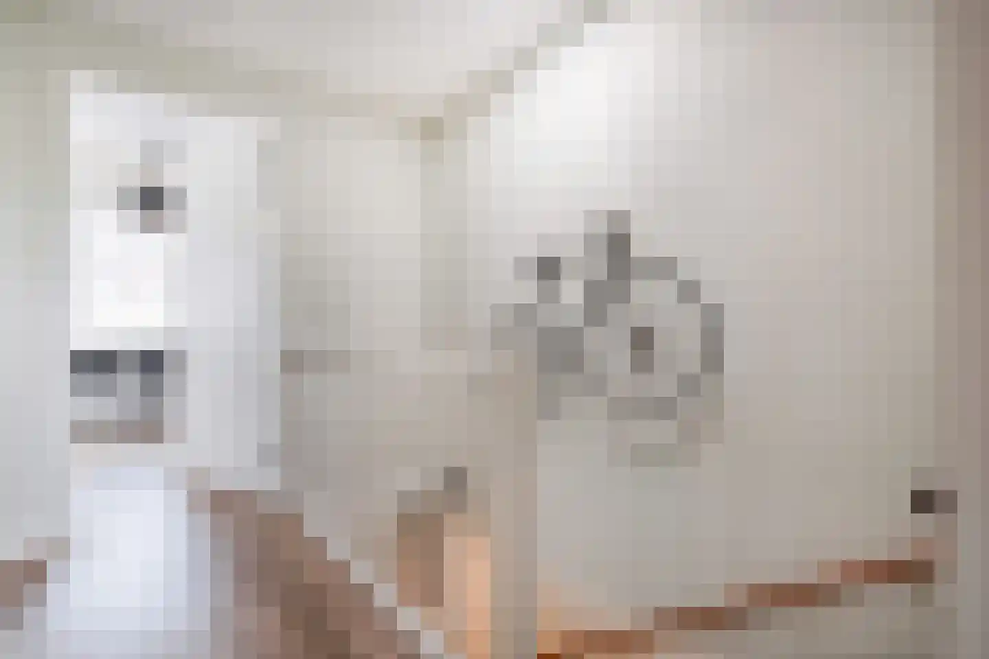 Van Ravesteijnkade 25 Leidschendam thumbnail 34