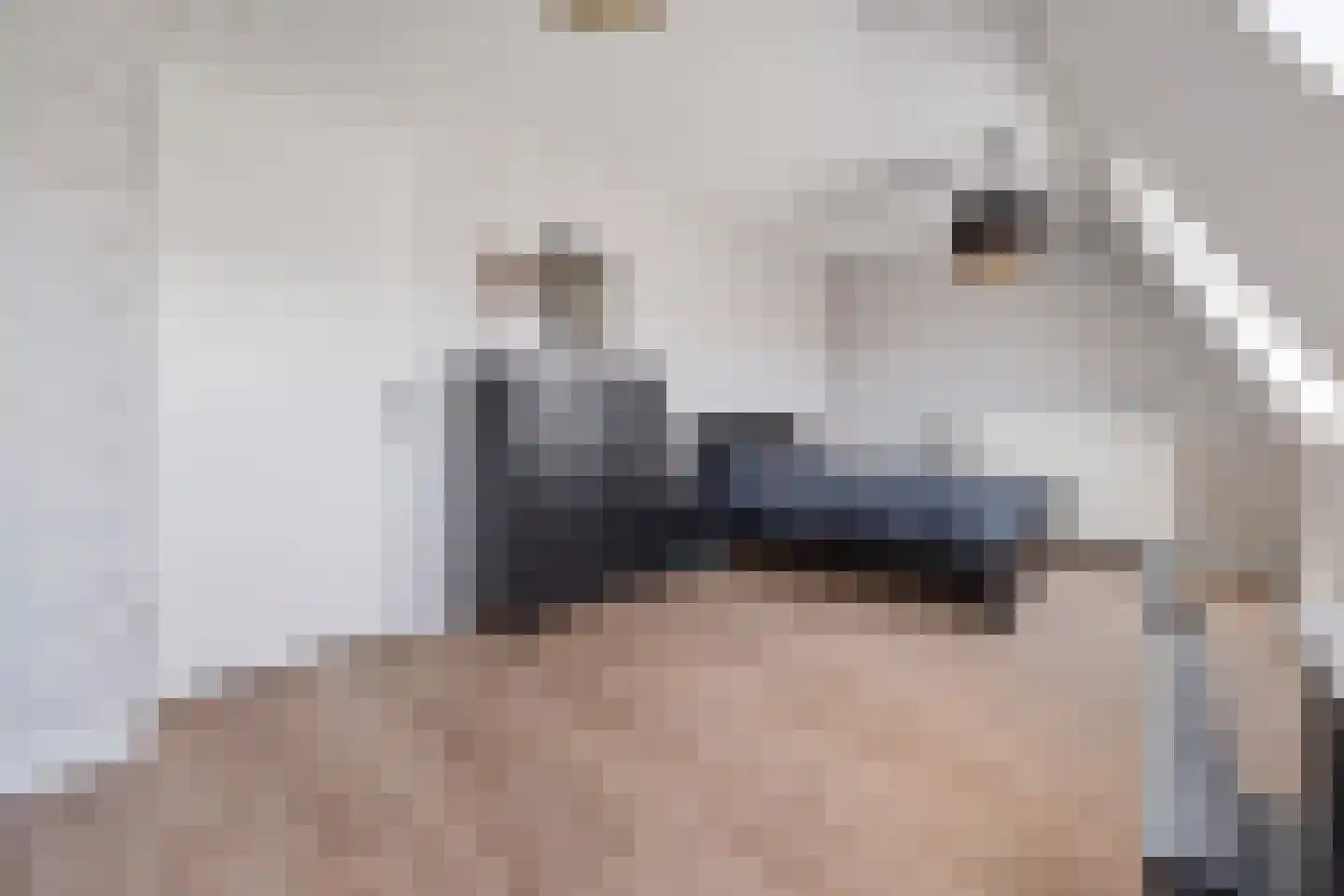 Van Ravesteijnkade 25 Leidschendam thumbnail 37