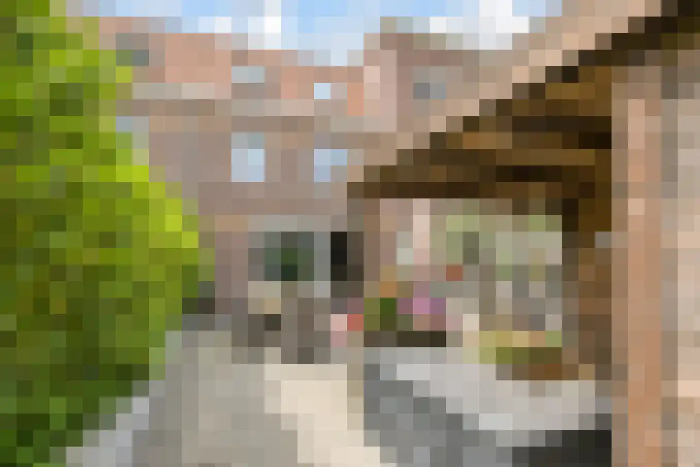 Van Ravesteijnkade 25 Leidschendam thumbnail 39