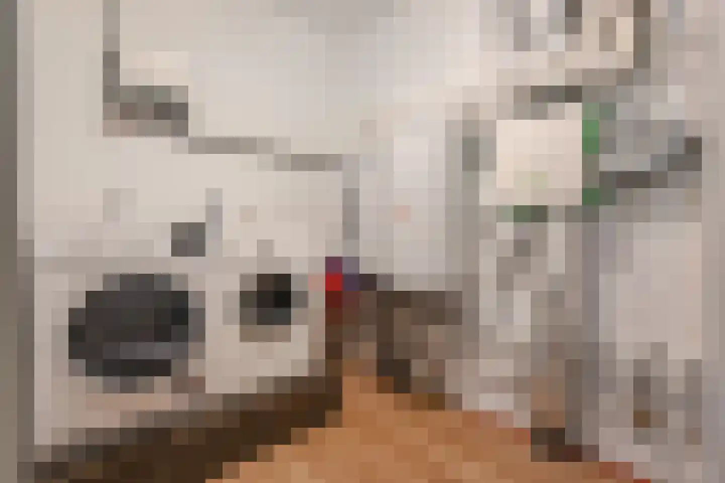 Van Ravesteijnkade 25 Leidschendam thumbnail 40