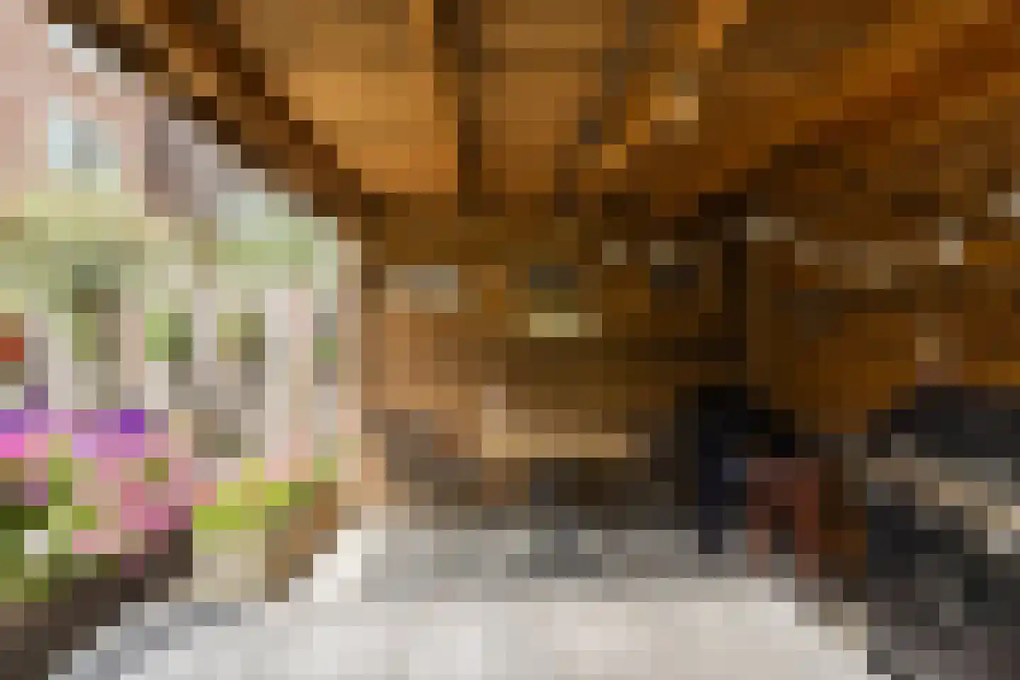 Van Ravesteijnkade 25 Leidschendam thumbnail 40