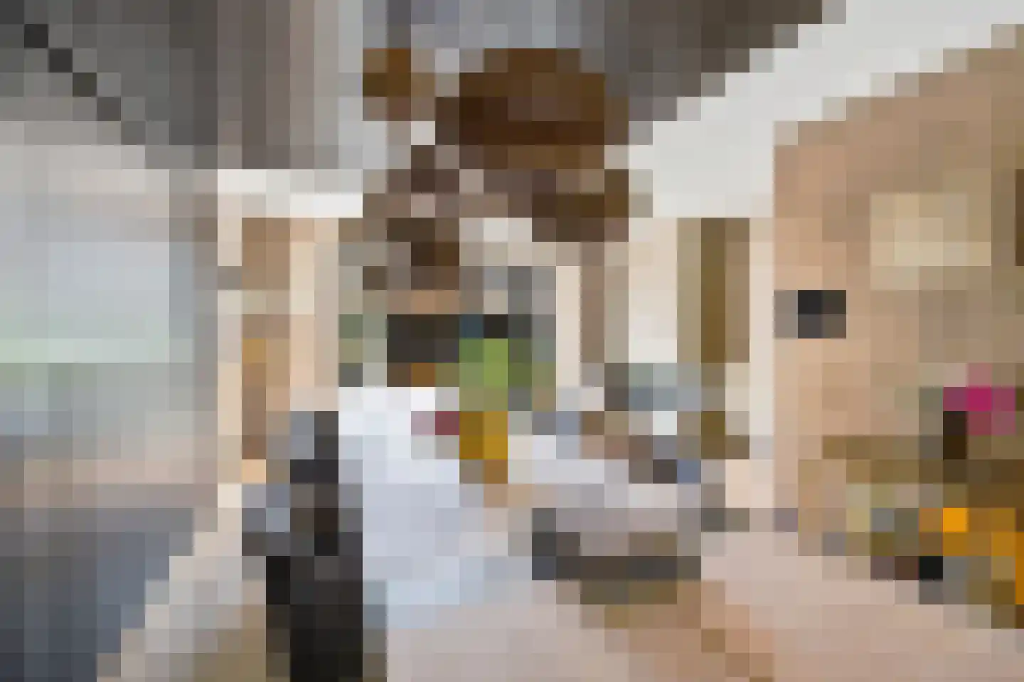 Van Ravesteijnkade 29 Leidschendam thumbnail 18