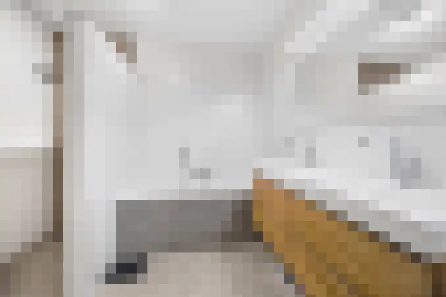 Van Ravesteijnkade 29 Leidschendam thumbnail 33