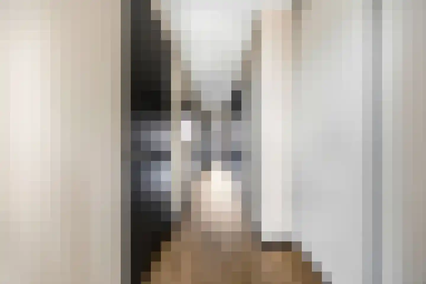 Van Ravesteijnkade 29 Leidschendam thumbnail 35