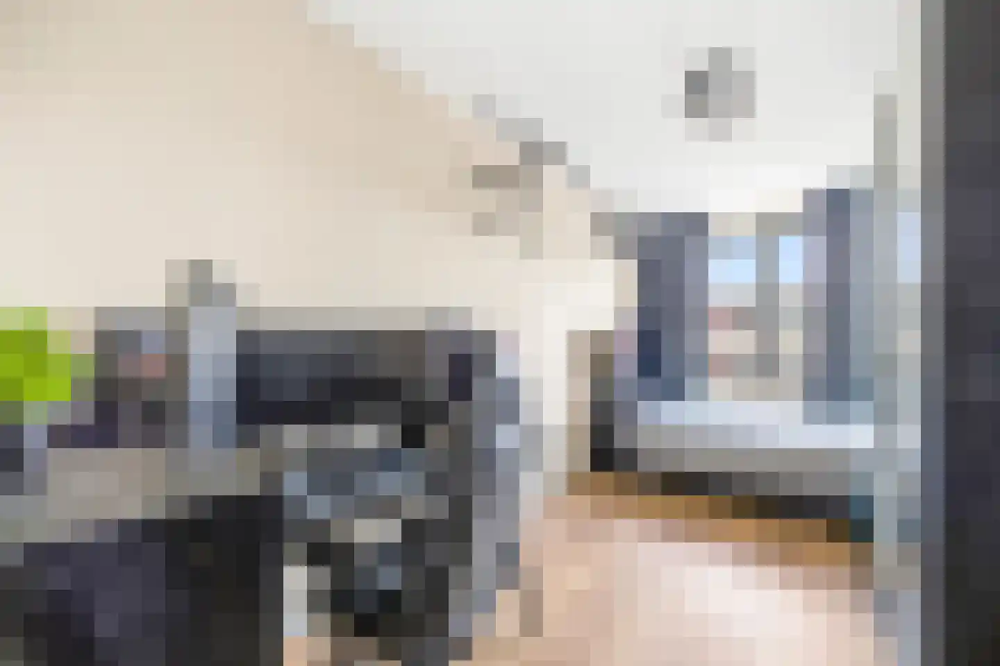 Van Ravesteijnkade 29 Leidschendam thumbnail 48
