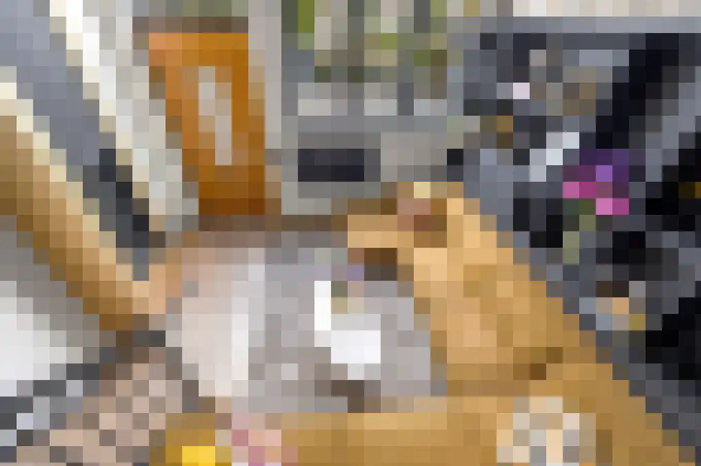 Van Ravesteijnkade 29 Leidschendam thumbnail 7